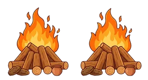 Holika Dahan Bonfire